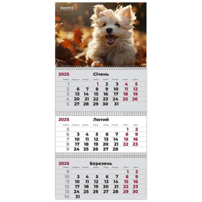 Календар настінний квартальний 2025 р.,3 пр. Dogs 3