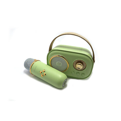 Колонка з мікрофоном С20 на акумуляторі, Bluetooth, USB, карта памяті
