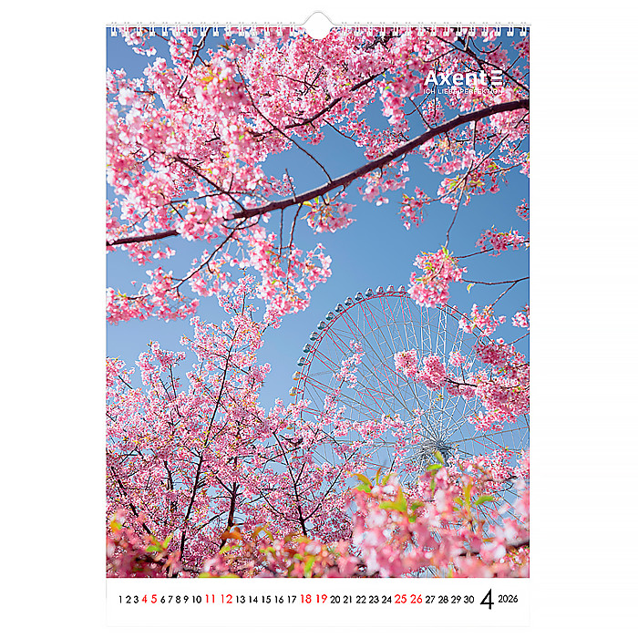 Календар настінний А3 2026 р., Landscapes - Зображення 5