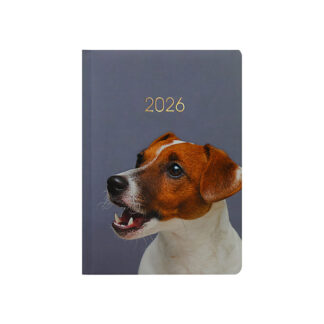 Щоденник датований, А5