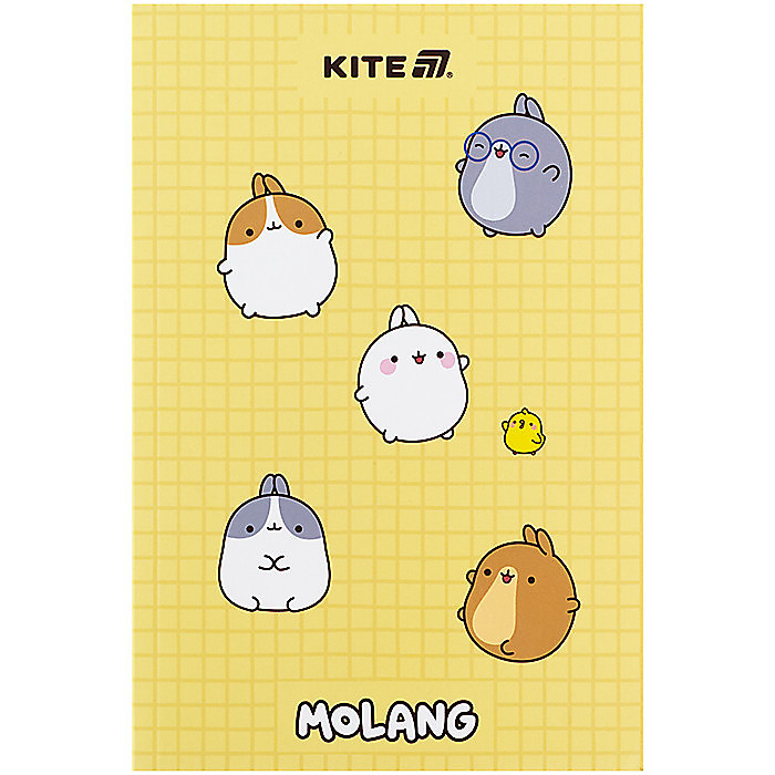 Блокнот, термобіндер А5, 64арк. ML