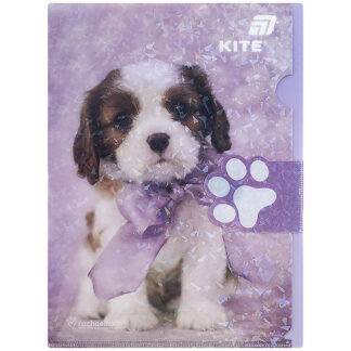 Папка-куточок з клапаном А4, R