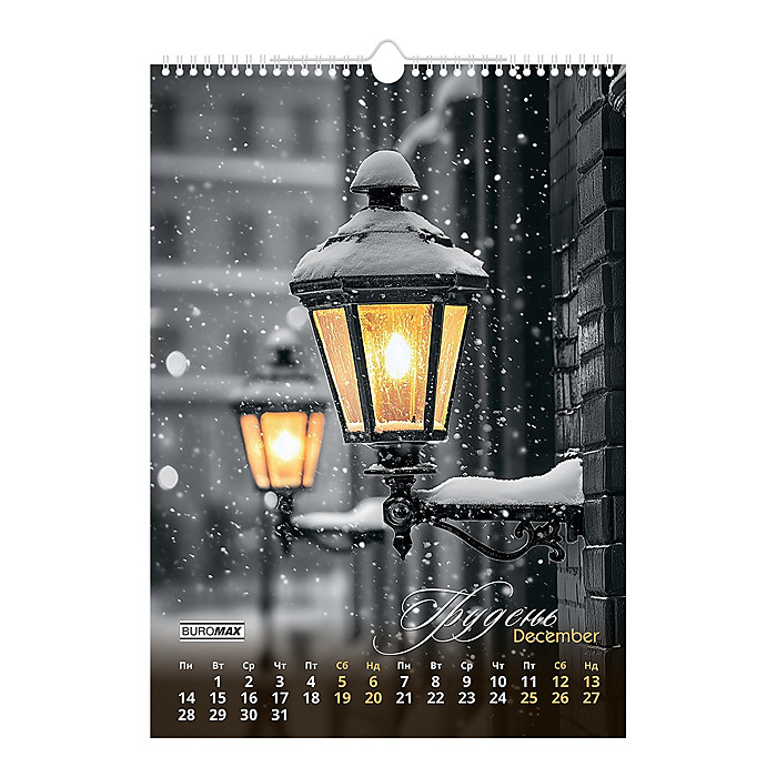 Календар настінний 2026 р., А3, 1 пружина, Emphasis on color - Зображення 13