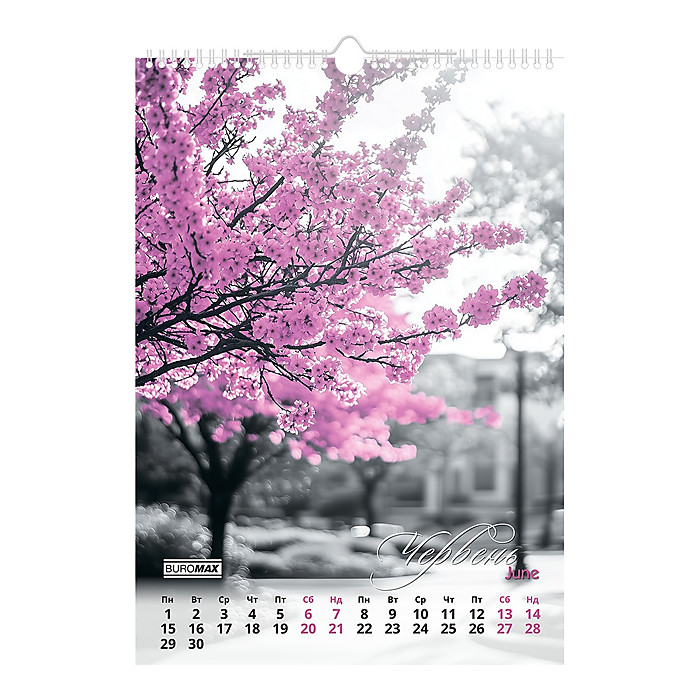 Календар настінний 2026 р., А3, 1 пружина, Emphasis on color - Зображення 7