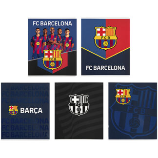 Зошит 24 арк., кл., софт тач + УФ лак, BC