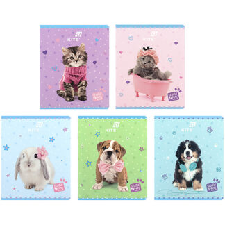 Зошит 24 арк., кл., софт тач + УФ лак, SP